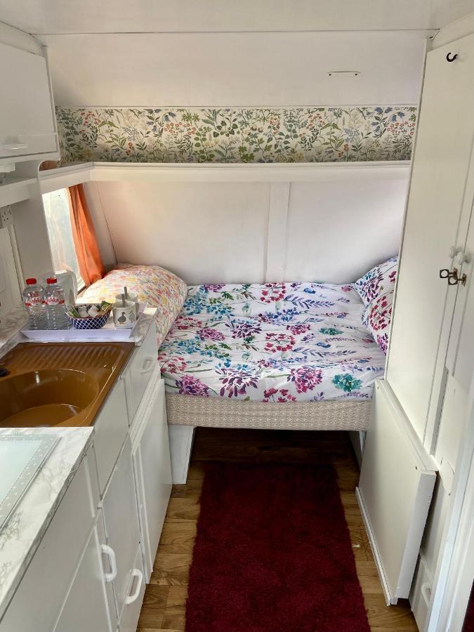 Отель Cosy Caravan At Carrigeen Glamping Килкенни Экстерьер фото