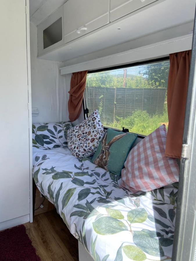 Отель Cosy Caravan At Carrigeen Glamping Килкенни Экстерьер фото